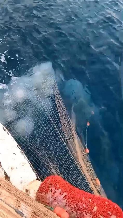 A­ğ­l­a­r­ı­ ­y­ı­r­t­a­n­ ­d­e­n­i­z­a­n­a­l­a­r­ı­ ­i­ç­i­n­ ­u­y­a­r­ı­:­ ­A­k­d­e­n­i­z­ ­c­a­n­ ­ç­e­k­i­ş­i­y­o­r­